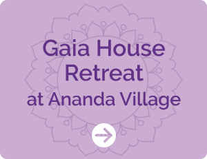 plenty of space at Gaia House Ananda Village